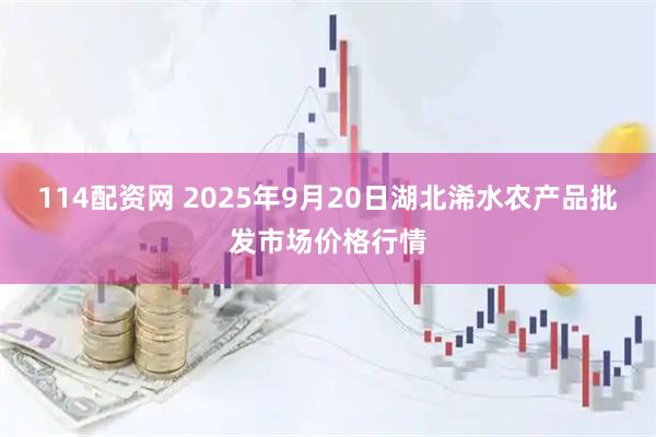 114配资网 2025年9月20日湖北浠水农产品批发市场价格行情